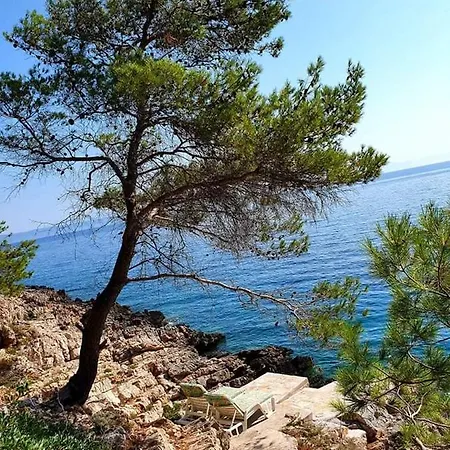 Modern Robinson Veli Bare 펜션