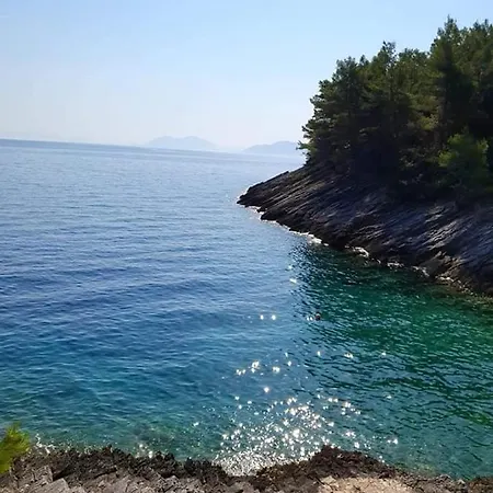 Modern Robinson Veli Bare 벨라루카