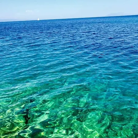 Modern Robinson Veli Bare 펜션 *