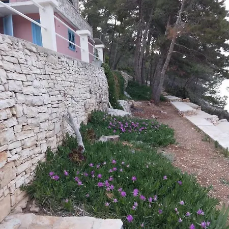 펜션 Modern Robinson Veli Bare *