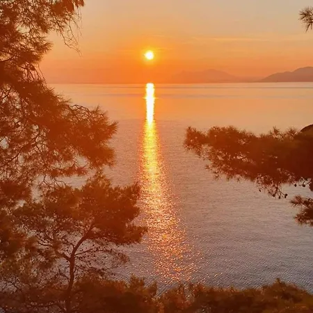 Modern Robinson Veli Bare