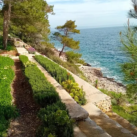 Modern Robinson Veli Bare *