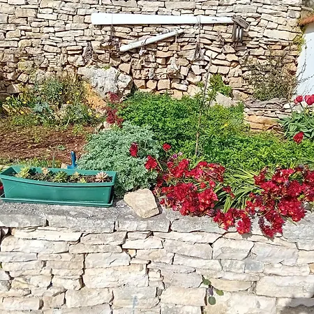 Feriehus Modern Robinson Veli Bare *