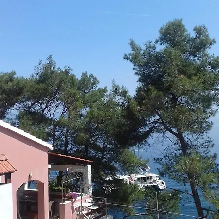 Modern Robinson Veli Bare *