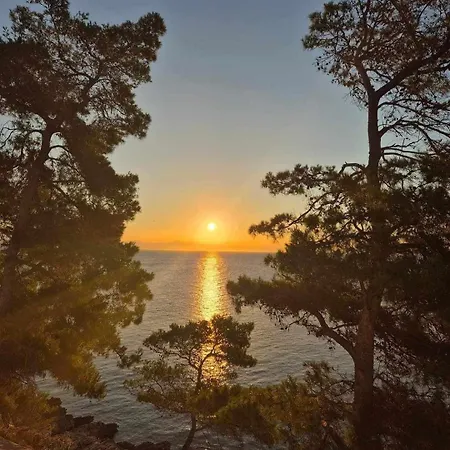 Feriehus Modern Robinson Veli Bare