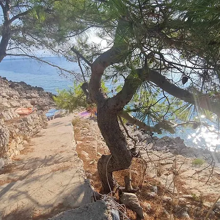 Modern Robinson Veli Bare *