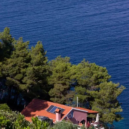 Modern Robinson Veli Bare