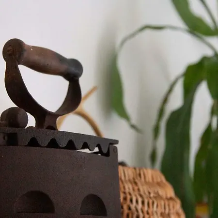 Modern Robinson Veli Bare Вела-Лука