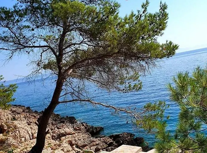 Modern Robinson Veli Bare Nyaraló