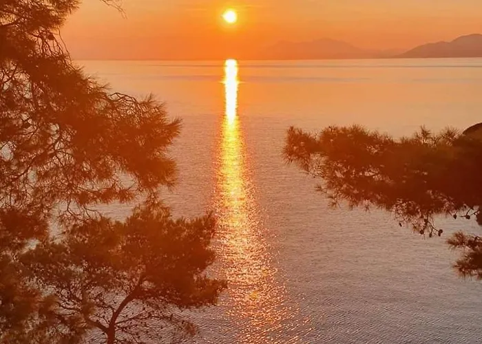 Modern Robinson Veli Bare