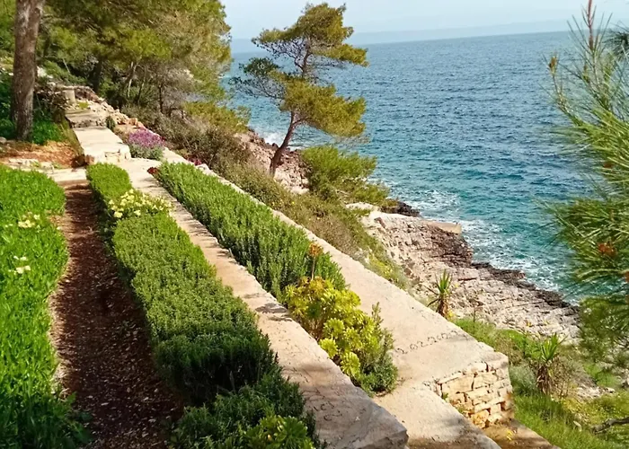 Modern Robinson Veli Bare *