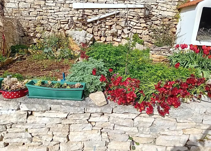 Nyaraló Modern Robinson Veli Bare *