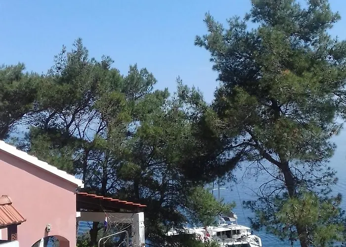 Modern Robinson Veli Bare *