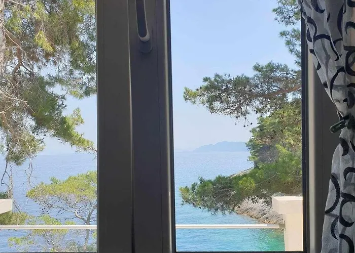 Modern Robinson Veli Bare Vela Luka