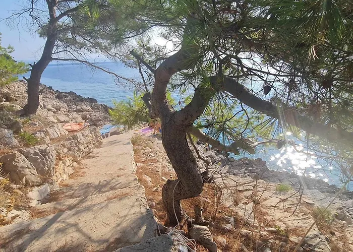 Modern Robinson Veli Bare *