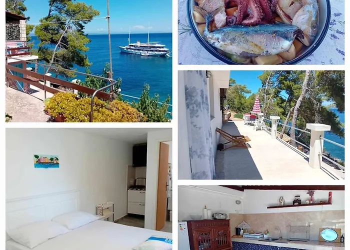 Modern Robinson Veli Bare Vela Luka