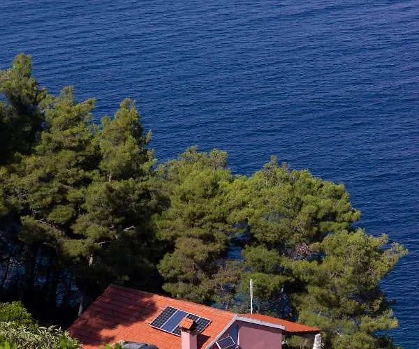 Modern Robinson Veli Bare