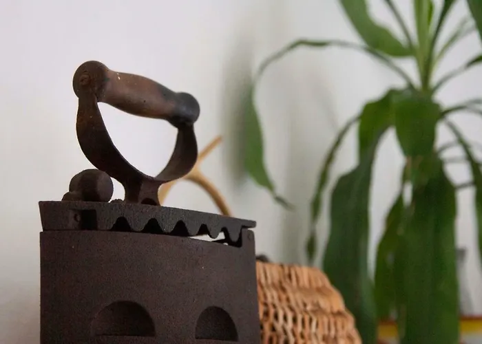 Modern Robinson Veli Bare Vela Luka